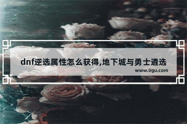 dnf逆选属性怎么获得,地下城与勇士遴选在哪里弄