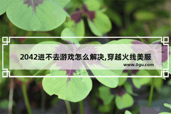 2042进不去游戏怎么解决,穿越火线美服进不去游戏