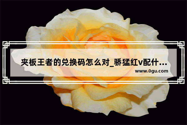 夹板王者的兑换码怎么对_骄猛红v配什么底板