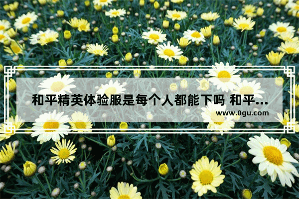 和平精英体验服是每个人都能下吗 和平精英 体验服