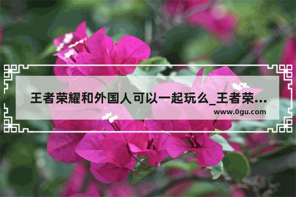 王者荣耀和外国人可以一起玩么_王者荣耀欧服叫什么？比国服的好玩吗
