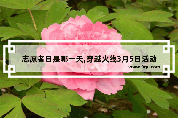 志愿者日是哪一天,穿越火线3月5日活动