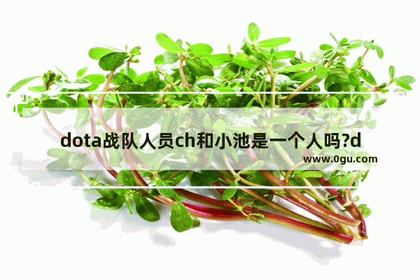 dota战队人员ch和小池是一个人吗?do,dk lgd dota2