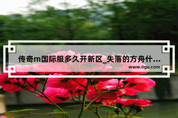 传奇m国际服多久开新区_失落的方舟什么时候出的