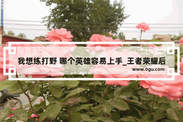 我想练打野 哪个英雄容易上手_王者荣耀后羿打野