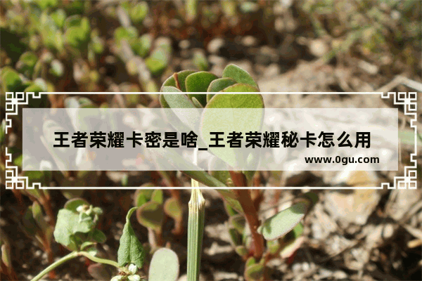 王者荣耀卡密是啥_王者荣耀秘卡怎么用