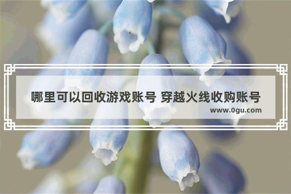 哪里可以回收游戏账号 穿越火线收购账号
