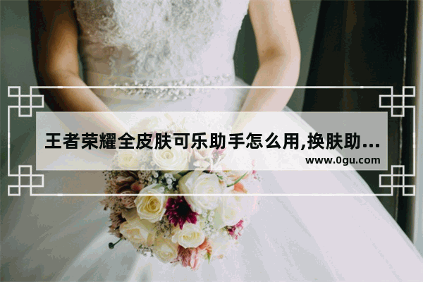 王者荣耀全皮肤可乐助手怎么用,换肤助手王者荣耀