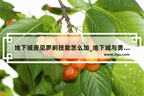 地下城夜见罗刹技能怎么加_地下城与勇士红眼普雷加点