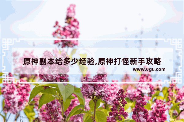 原神副本给多少经验,原神打怪新手攻略