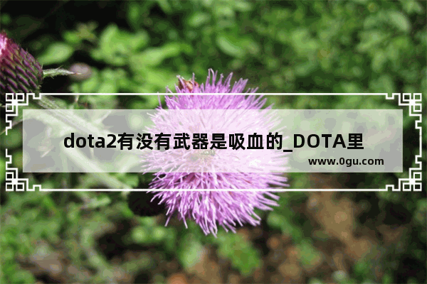 dota2有没有武器是吸血的_DOTA里怎么给英雄加血