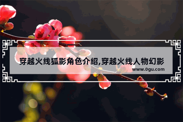 穿越火线狐影角色介绍,穿越火线人物幻影