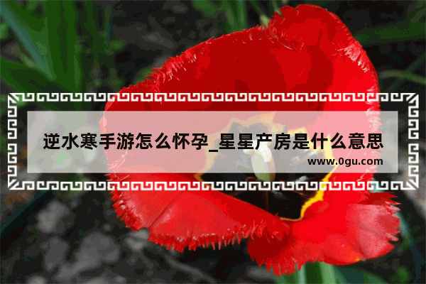 逆水寒手游怎么怀孕_星星产房是什么意思