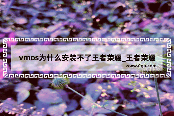 vmos为什么安装不了王者荣耀_王者荣耀界面卡住怎么解决