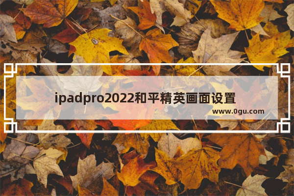 ipadpro2022和平精英画面设置 和平精英设置桌面