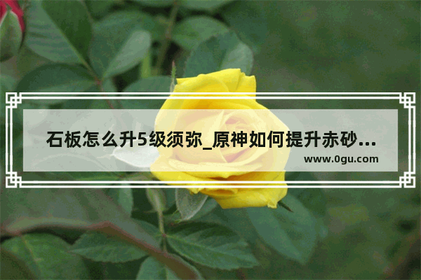 石板怎么升5级须弥_原神如何提升赤砂石板的全能等级