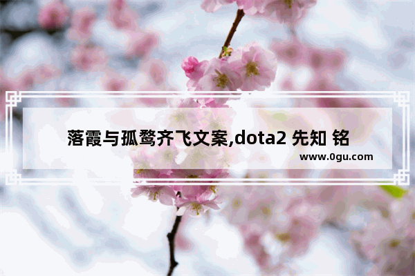 落霞与孤鹜齐飞文案,dota2 先知 铭刻
