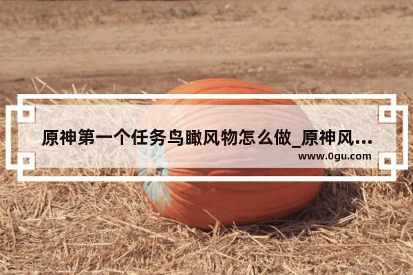原神第一个任务鸟瞰风物怎么做_原神风物之诗琴怎么获得