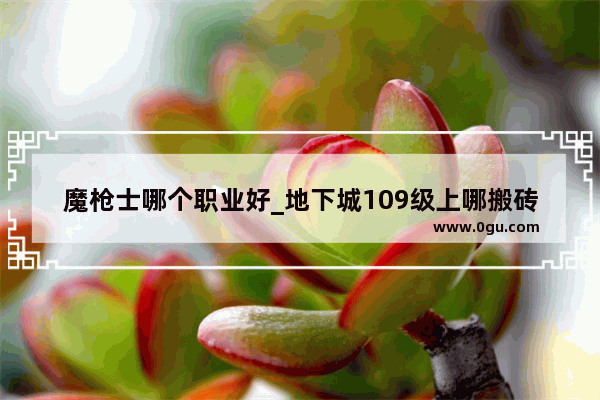 魔枪士哪个职业好_地下城109级上哪搬砖