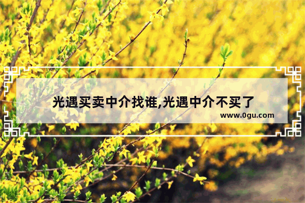 光遇买卖中介找谁,光遇中介不买了