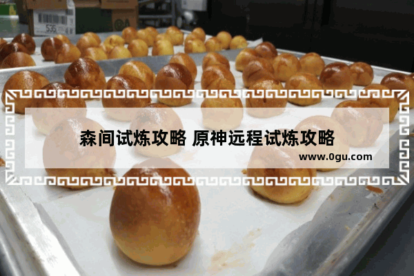 森间试炼攻略 原神远程试炼攻略