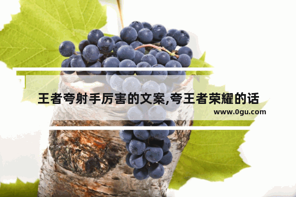 王者夸射手厉害的文案,夸王者荣耀的话