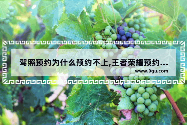 驾照预约为什么预约不上,王者荣耀预约失败