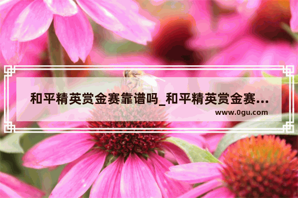 和平精英赏金赛靠谱吗_和平精英赏金赛报名入口