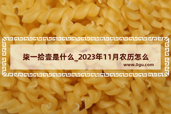 柒一拾壹是什么_2023年11月农历怎么写
