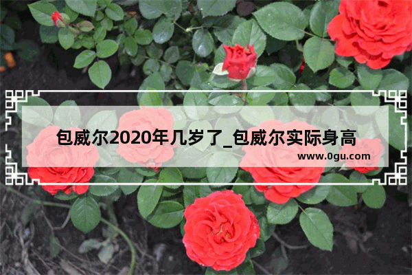 包威尔2020年几岁了_包威尔实际身高