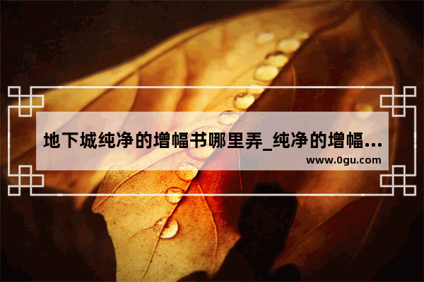 地下城纯净的增幅书哪里弄_纯净的增幅书从哪个npc买