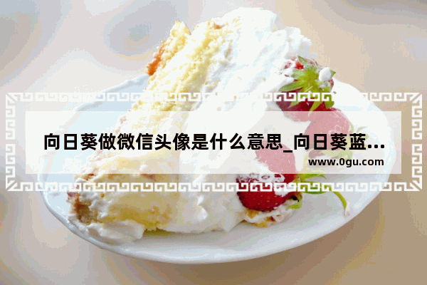 向日葵做微信头像是什么意思_向日葵蓝天头像 代表什么意思