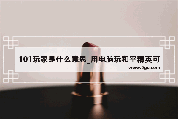 101玩家是什么意思_用电脑玩和平精英可以和手机玩家组队吗