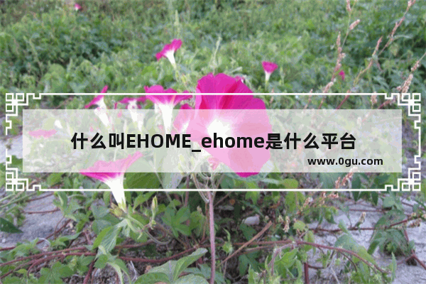 什么叫EHOME_ehome是什么平台