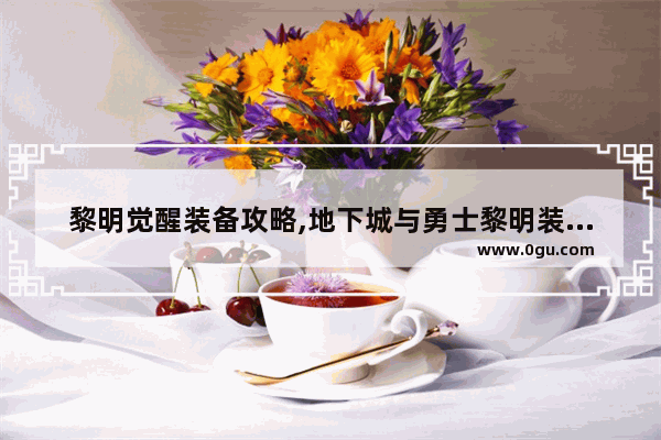 黎明觉醒装备攻略,地下城与勇士黎明装备选择