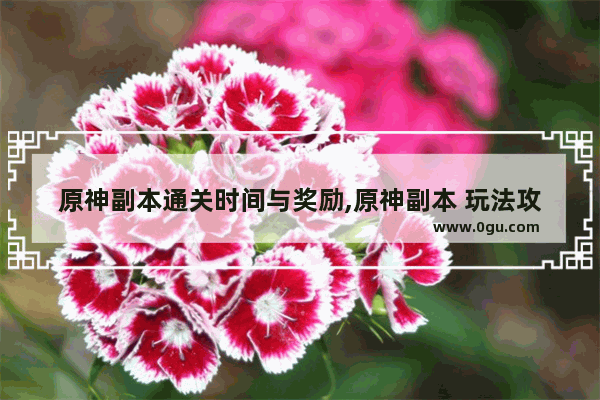 原神副本通关时间与奖励,原神副本 玩法攻略