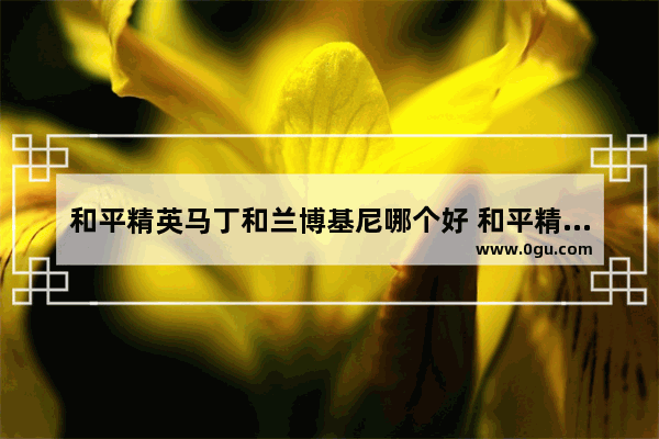 和平精英马丁和兰博基尼哪个好 和平精英阿斯顿马丁suv