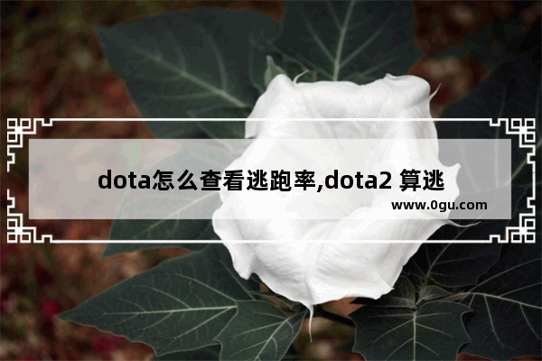 dota怎么查看逃跑率,dota2 算逃跑