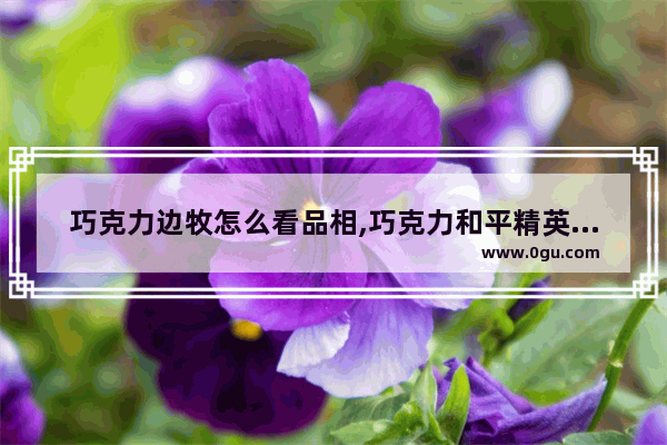 巧克力边牧怎么看品相,巧克力和平精英捏脸