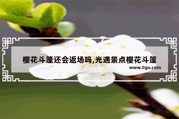 樱花斗篷还会返场吗,光遇景点樱花斗篷