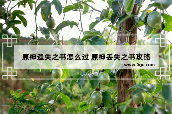 原神遗失之书怎么过 原神丢失之书攻略