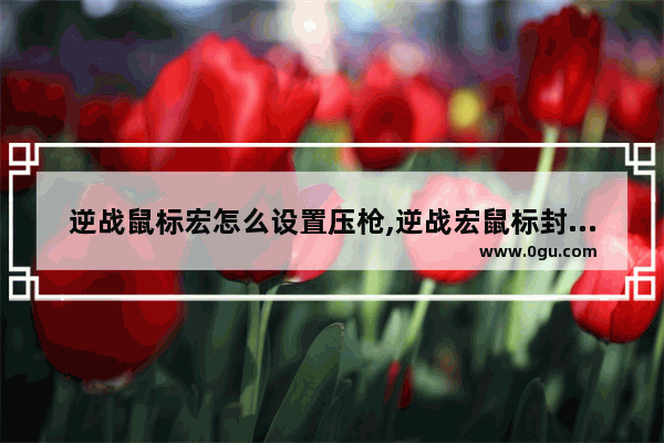 逆战鼠标宏怎么设置压枪,逆战宏鼠标封号吗
