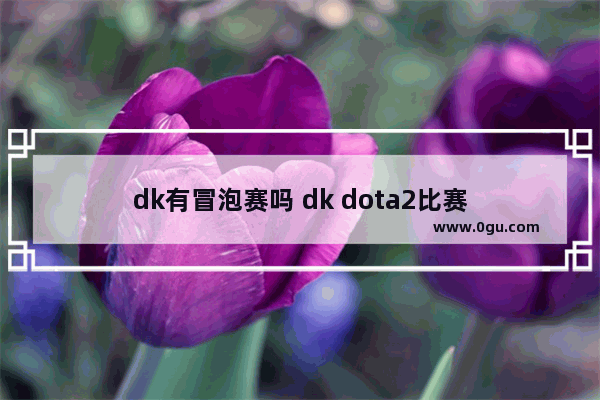 dk有冒泡赛吗 dk dota2比赛