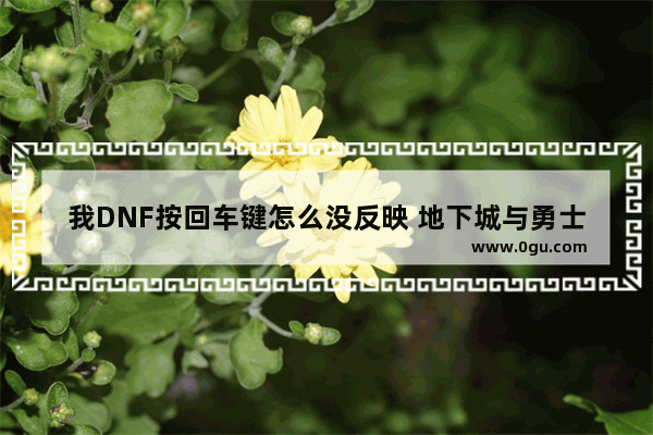 我DNF按回车键怎么没反映 地下城与勇士键盘用不了
