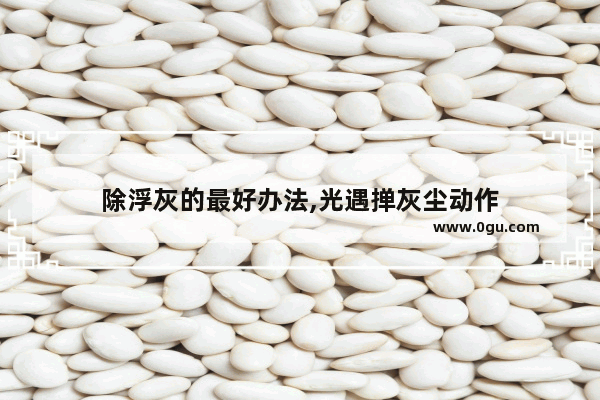 除浮灰的最好办法,光遇掸灰尘动作