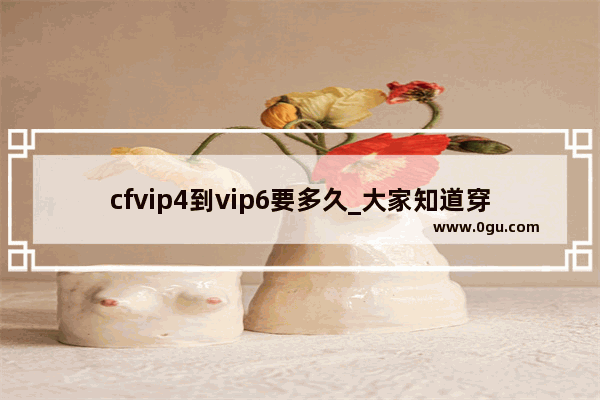cfvip4到vip6要多久_大家知道穿越火线VIP有什么功能吗