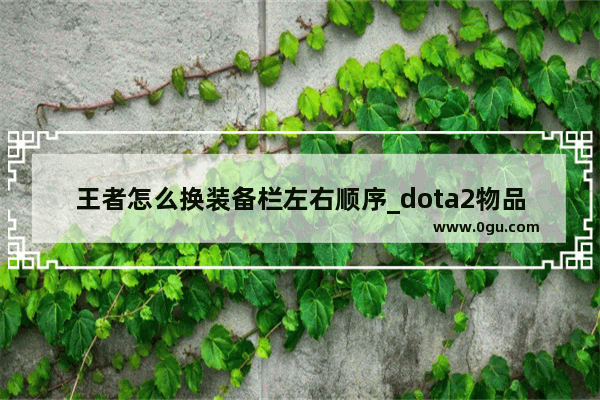 王者怎么换装备栏左右顺序_dota2物品被禁用怎么办