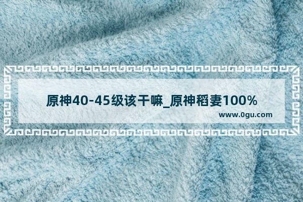 原神40-45级该干嘛_原神稻妻100%探索攻略