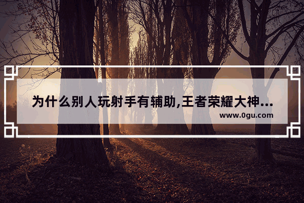 为什么别人玩射手有辅助,王者荣耀大神带飞