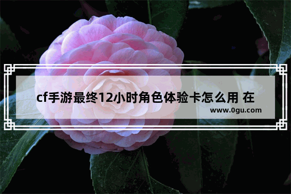 cf手游最终12小时角色体验卡怎么用 在仓库里用不了_电信体验卡是自动注销的吗